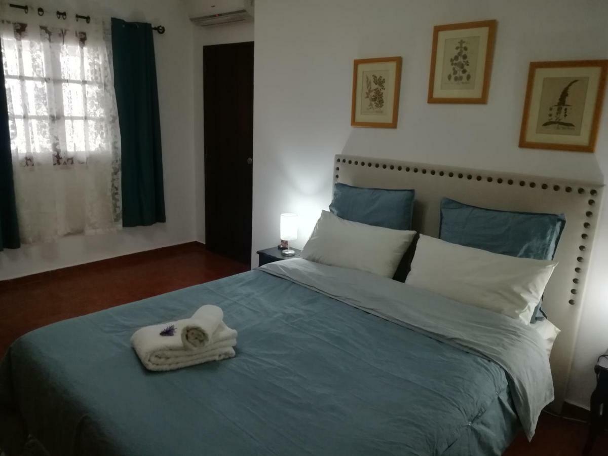 A Casa Da Avo Custodinha Villa Bias do Norte Екстериор снимка